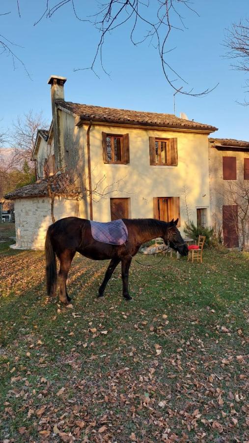 La Caneveta al Piave Villa Valdobbiadene Esterno foto