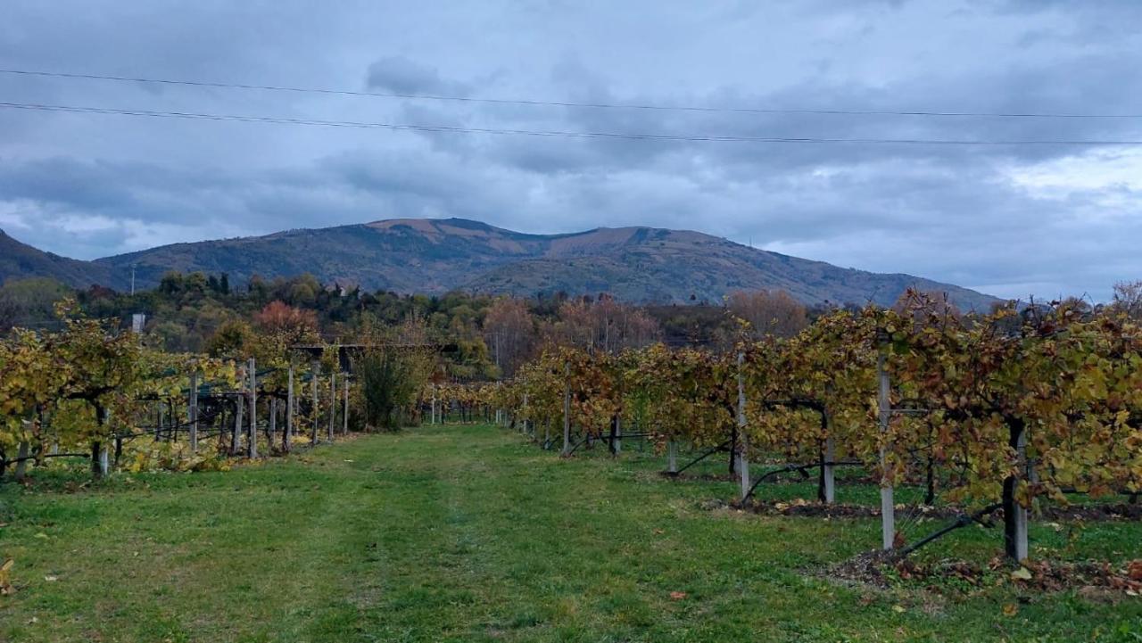 La Caneveta al Piave Villa Valdobbiadene Esterno foto