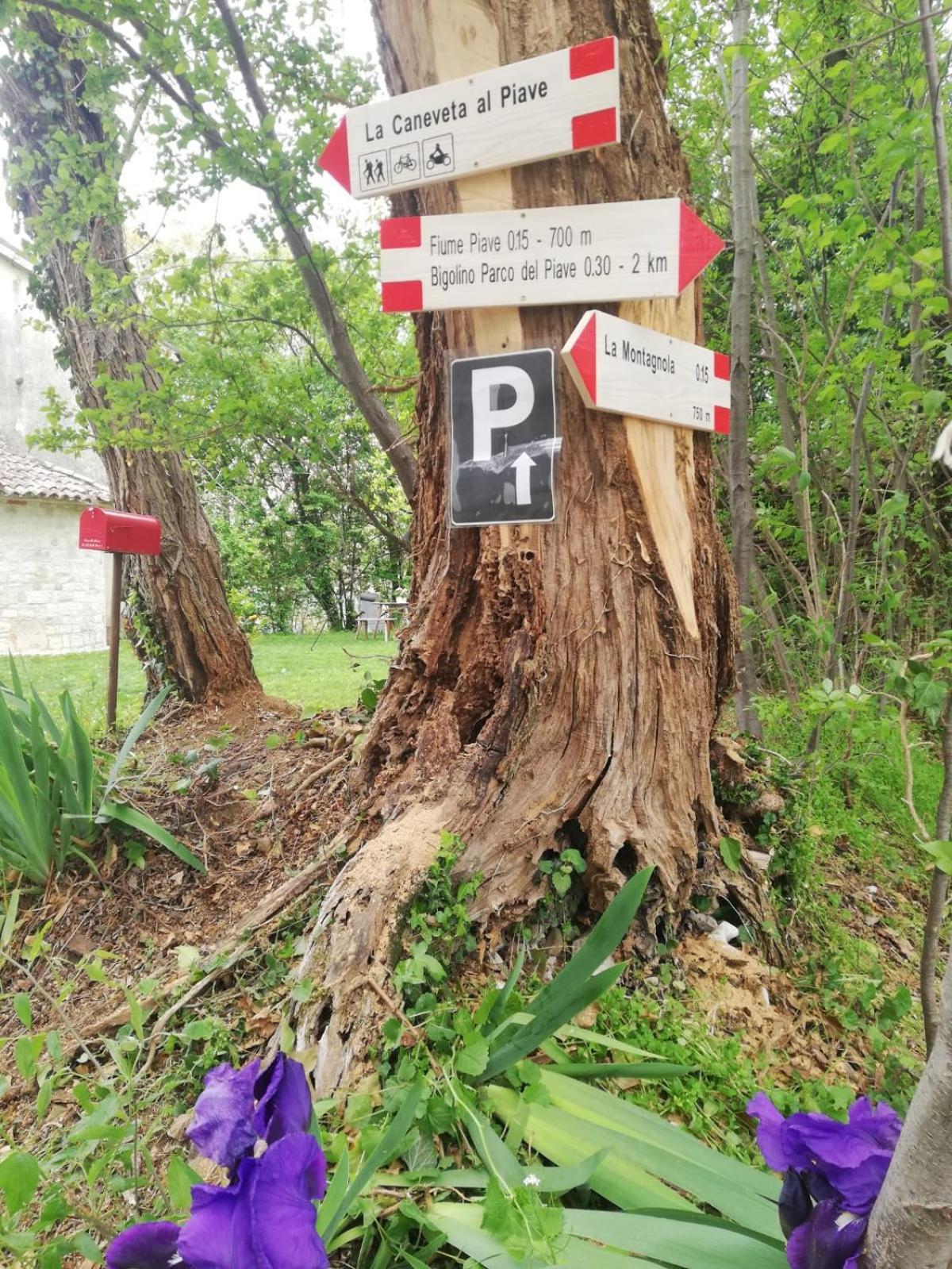 La Caneveta al Piave Villa Valdobbiadene Esterno foto